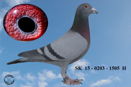 SK  15 - 0203 - 1505  H