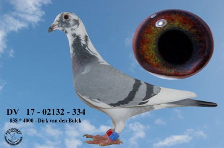 DV  17 - 02132 - 334  Ha